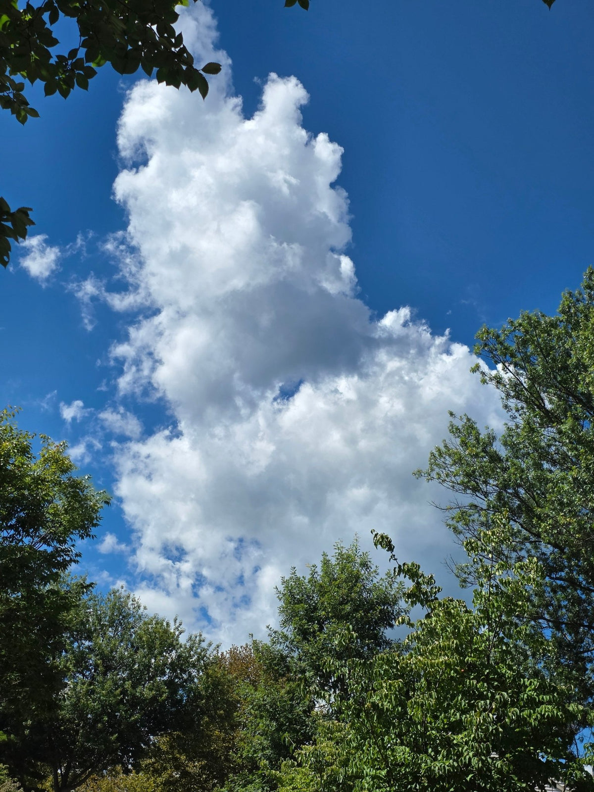 Cloud patterns - NaturallyDigitalUS Store 3