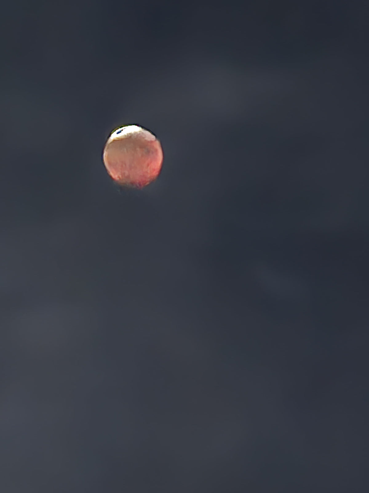 Blood moon partial eclipse