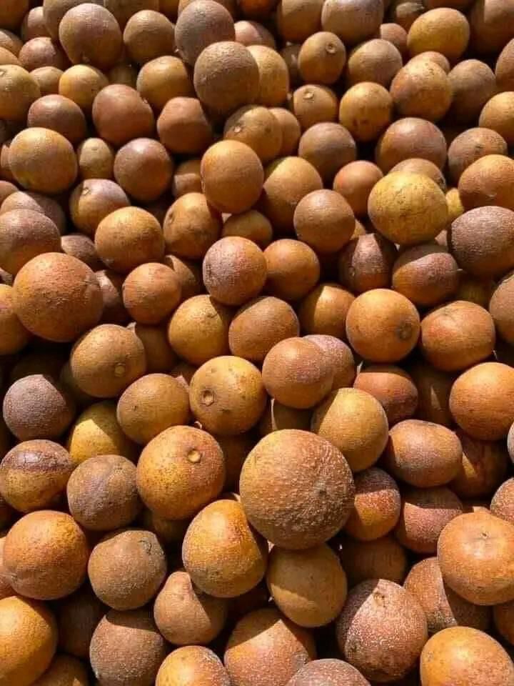 Delicious African wildfruit and mulberry
