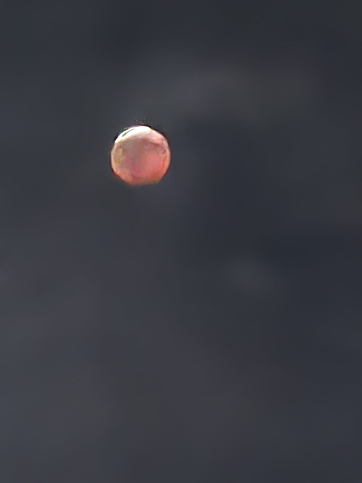 Blood moon partial eclipse
