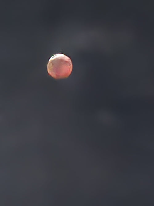 Blood moon partial eclipse