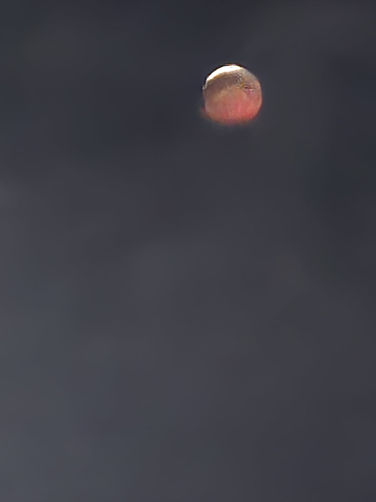 Blood moon partial eclipse