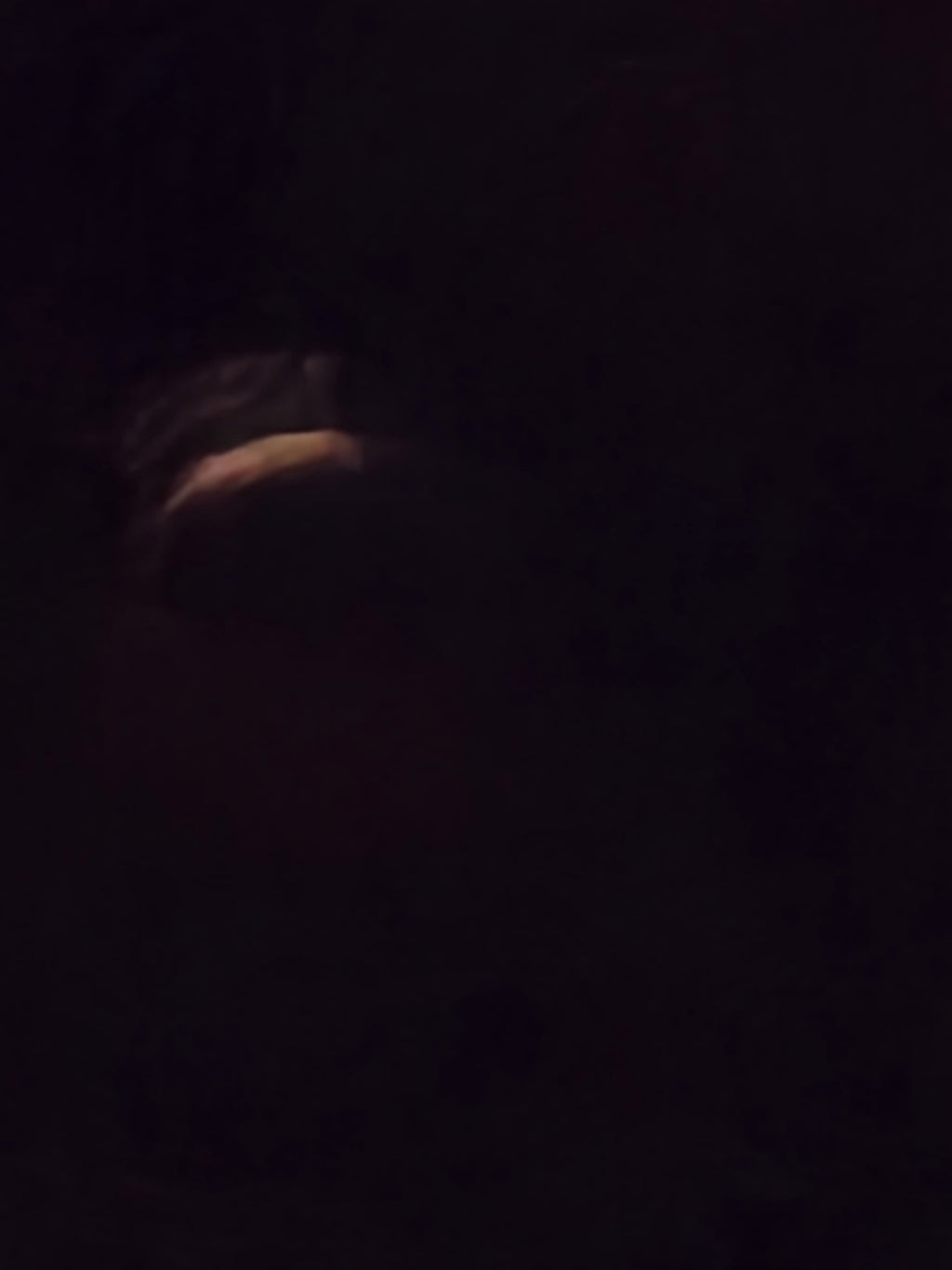 Blood moon partial eclipse