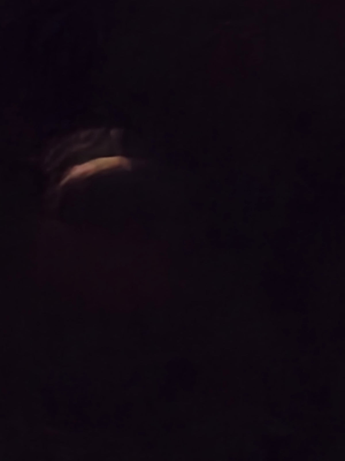 Blood moon partial eclipse